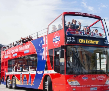 Hobart: Bilhete de ônibus turístico hop-on hop-off de 24 horas