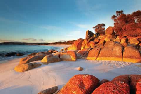 Tasmania in 2 Days: Bay of Fires and Wineglass Bay
