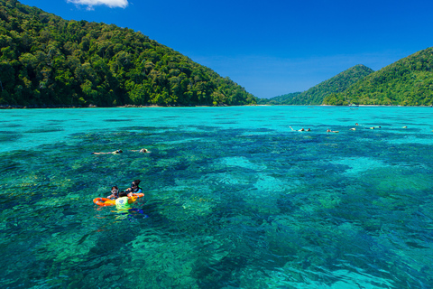 Excursión de un día de esnórquel a las islas Surin desde Phuket o KhaolakExcursión de un día de esnórquel a las islas Surin desde Khaolak