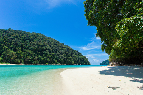 Excursión de un día de esnórquel a las islas Surin desde Phuket o KhaolakExcursión de un día de esnórquel a las islas Surin desde Khaolak