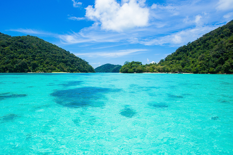 Excursión de un día de esnórquel a las islas Surin desde Phuket o KhaolakExcursión de un día de esnórquel a las islas Surin desde Khaolak