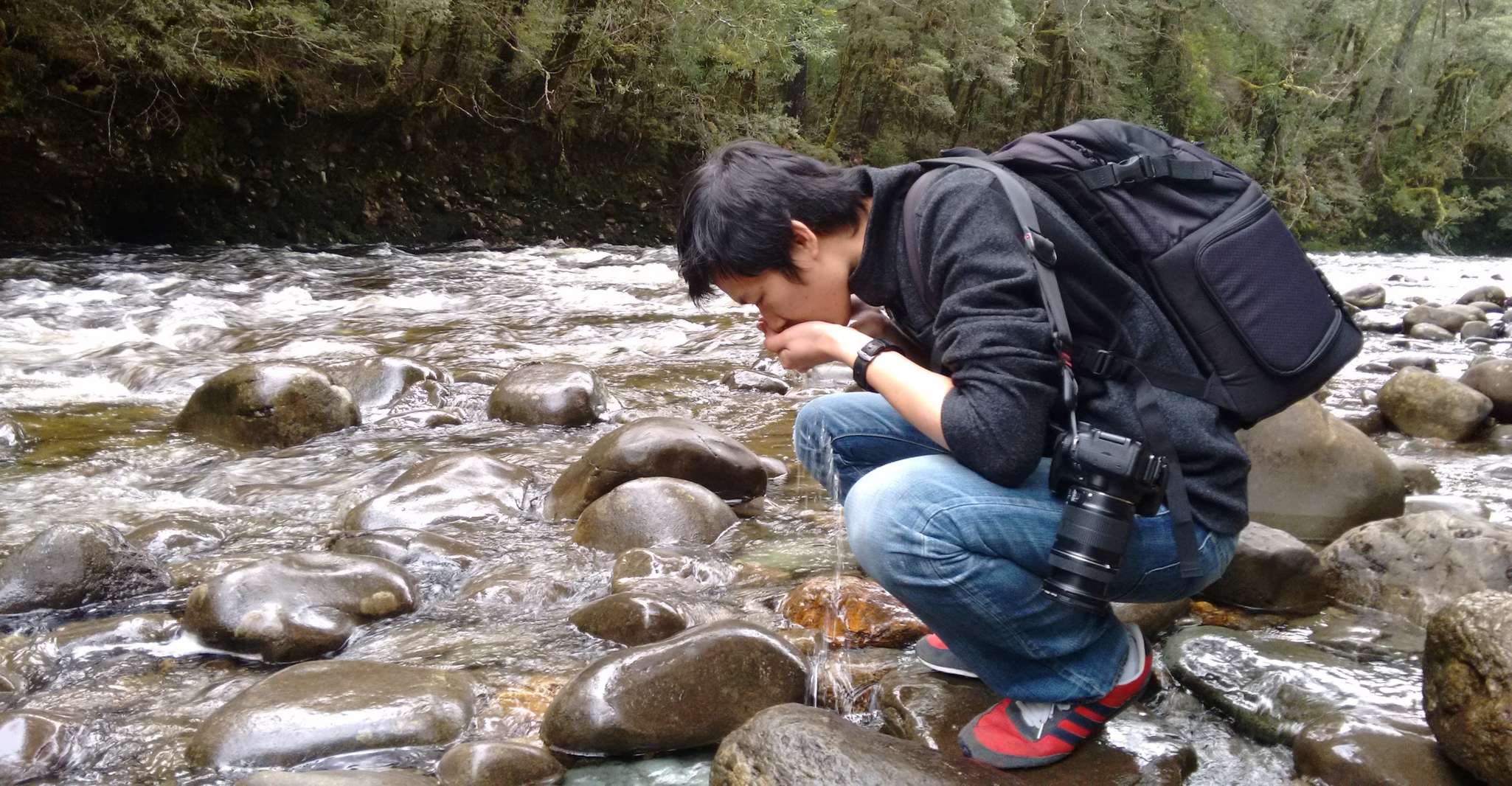 Tasmanien in 6 Tagen, die wichtigsten Highlights und Sehenswürdigkeiten - Hizvo