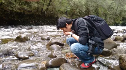 Tasmanien: Geführte 6-tägige Tour durch Wildnis und Tierwelt