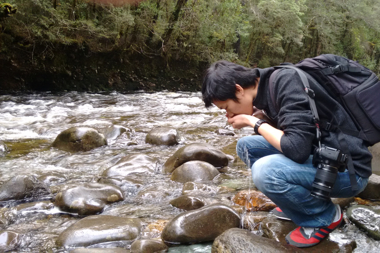 Tasmania: Excursión guiada de 6 días por la naturaleza y la vida salvaje