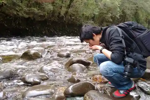 Tasmanie : visite guidée de 6 jours dans la nature et la vie sauvage