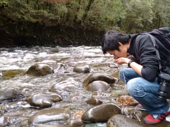 Tasmania: Wilderness and Wildlife Guided 6-Day Tour