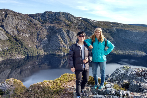 Tasmânia: excursão de 6 dias guiada pela natureza selvagem e vida selvagemTour com Quarto Individual em Albergue