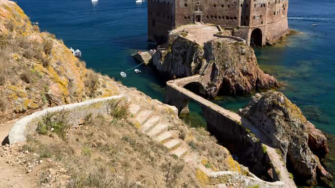 lisbon berlenga island full day tour