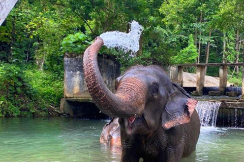 Krabi: Experiencia ética de cuidado de elefantes con traslado al hotelKrabi: Experiencia ética de cuidado de elefantes con servicio de recogida del hotel