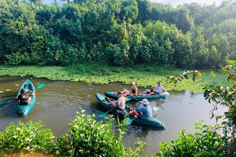 Mirissa: Kayak Safari Adventure Through Mangrove Double Kayak (2 Persons)