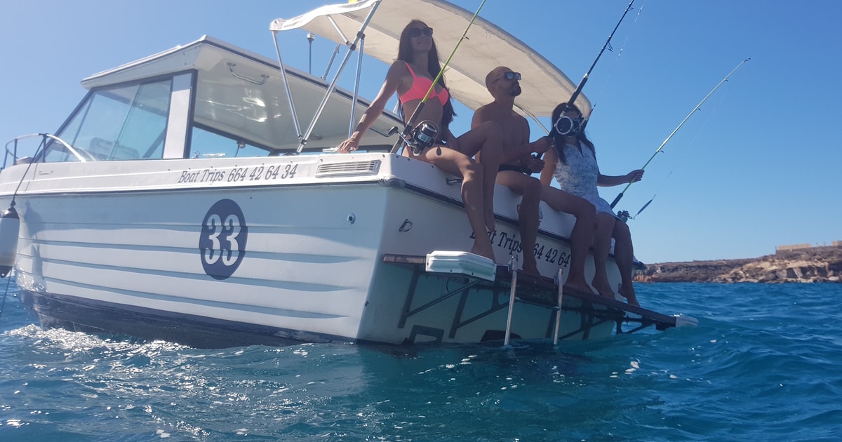 Tenerife South Island BoatTrip and Sea Excursion GetYourGuide