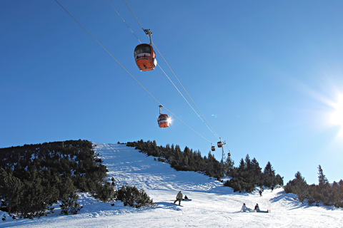 Viagem de 1 dia para o inverno na Montanha RilaViagem de um dia de inverno à montanha de Rila