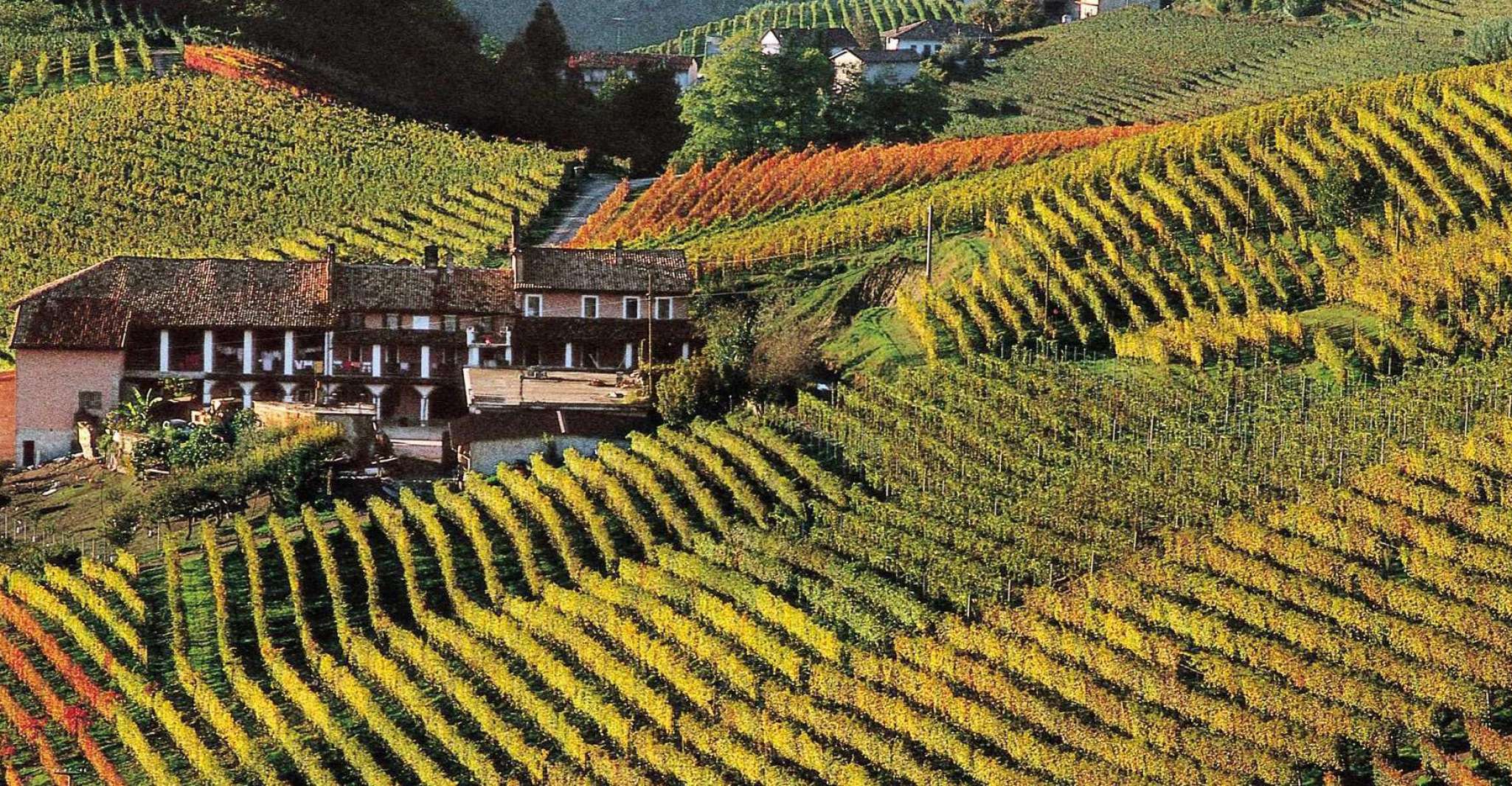 Full-Day Langhe Region Tour with Wine Tasting Experience - Housity