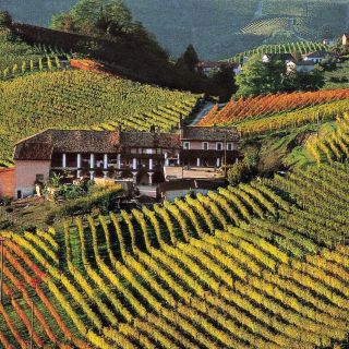 Tour de día completo en la región de Langhe con degustación de vinos