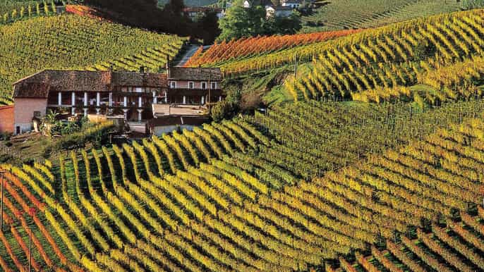 langhe tour di 1 giorno della regione con degustazione vini