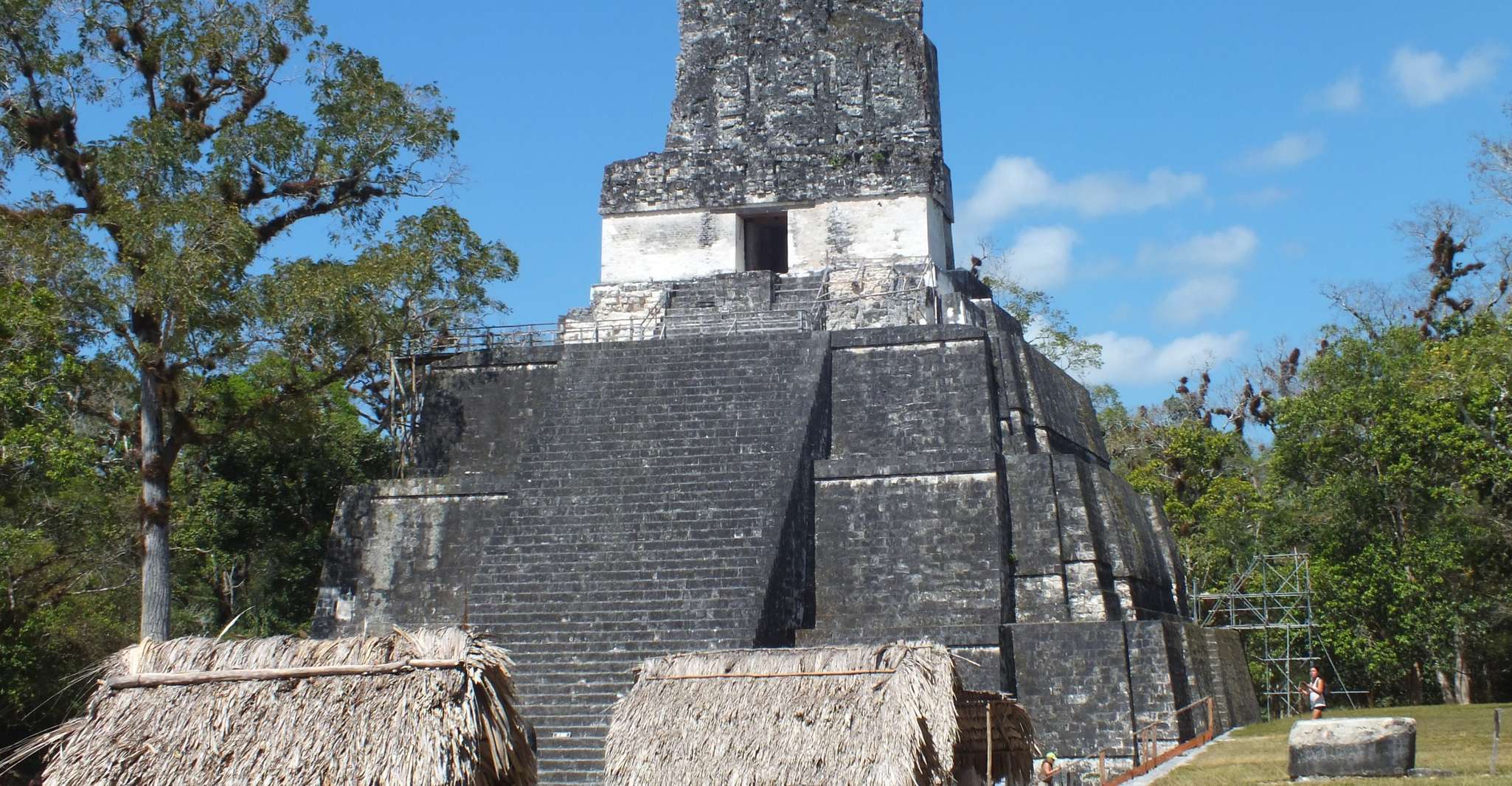 From Flores, Tikal Ruins Guided Day Trip - Housity