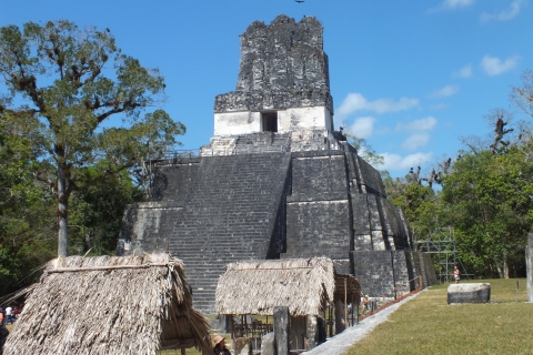 Von Flores aus: Tikal Ruinen Tagestour