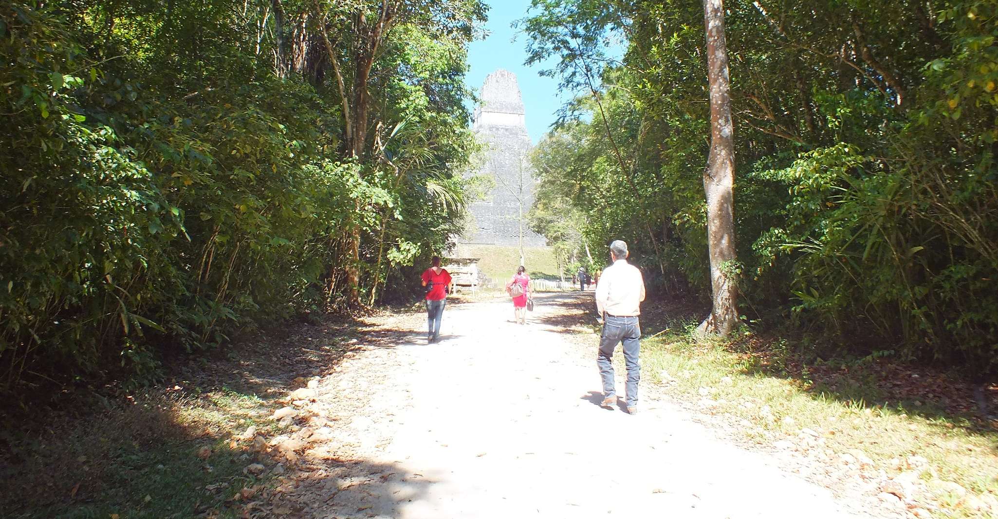 From Flores, Tikal Ruins Guided Day Trip - Housity