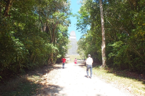 Von Flores aus: Tikal Ruinen Tagestour