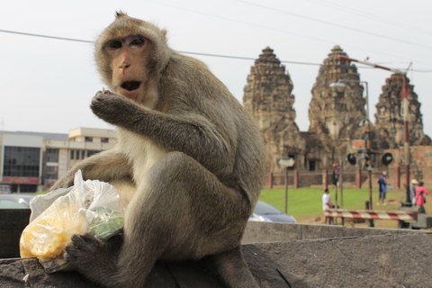 Bangkok: Prywatna wypożyczalnia samochodów do Lopburi the Monkey City