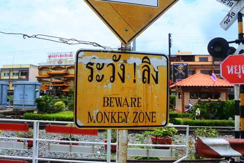 Bangkok : Location d'une voiture privée à Lopburi, la cité des singesBangkok : Location de voiture privée à Lopburi, la cité des singes