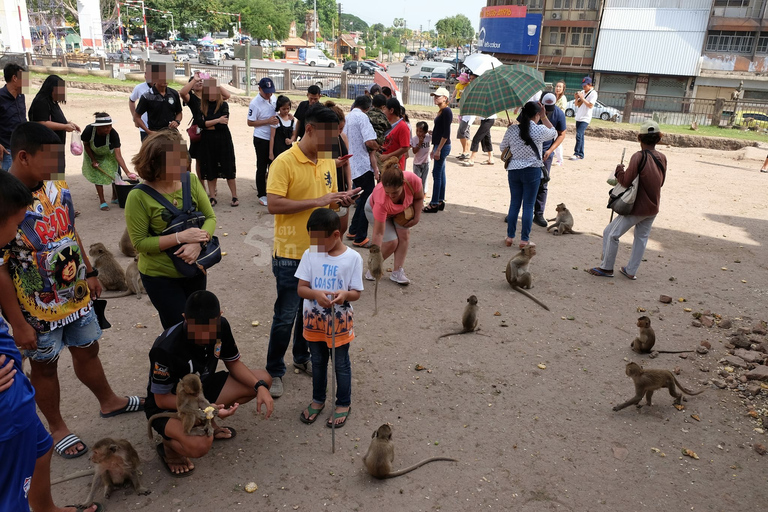 Bangkok: Private Car Hire to Lopburi the Monkey City