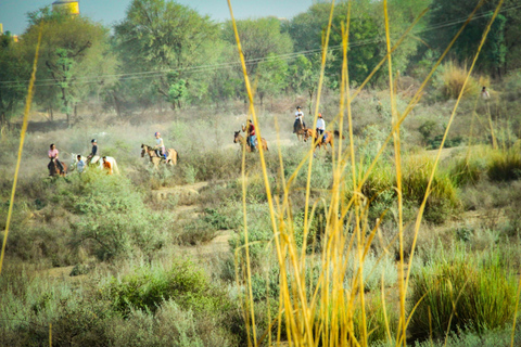 Avventura a cavallo a Jaipur