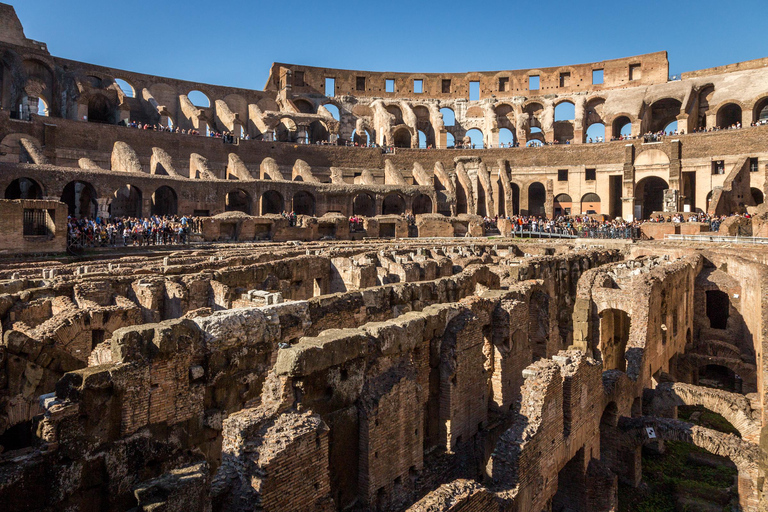Colosseum with Arena Floor, Palatine Hill & Forum Tour Colosseum Arena Tour + 48h Forum & Palatine Ticket