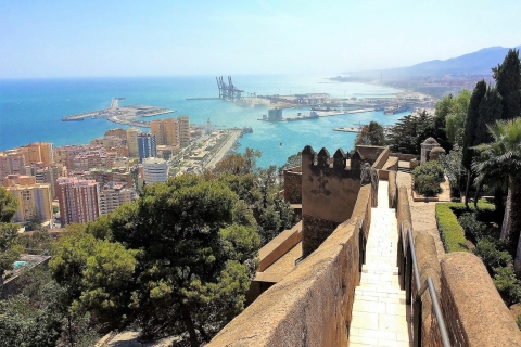 De la Costa del Sol: visite privée d'une demi-journée à MalagaDe Marbella, Nerja ou Antequera : visite d'une demi-journée à Malaga