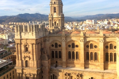 Desde la Costa del Sol: tour privado de medio día por MálagaDesde Marbella, Nerja o Antequera: tour de medio día por Málaga