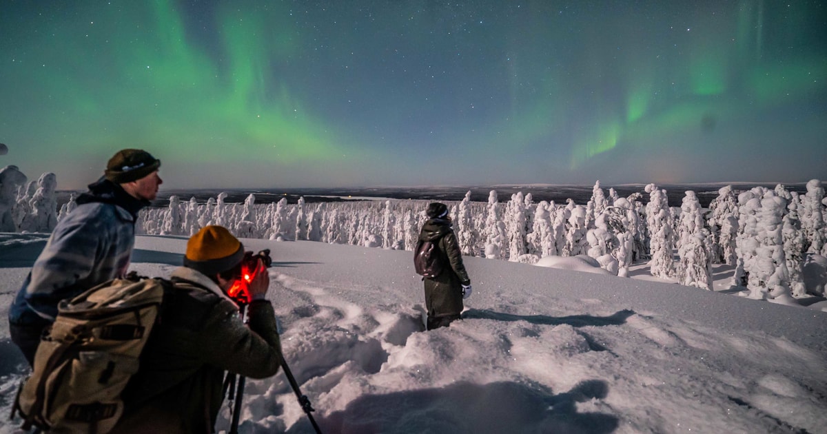 rovaniemi finland tour guide