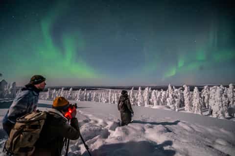 Rovaniemi: Descubra o passeio fotográfico da aurora boreal