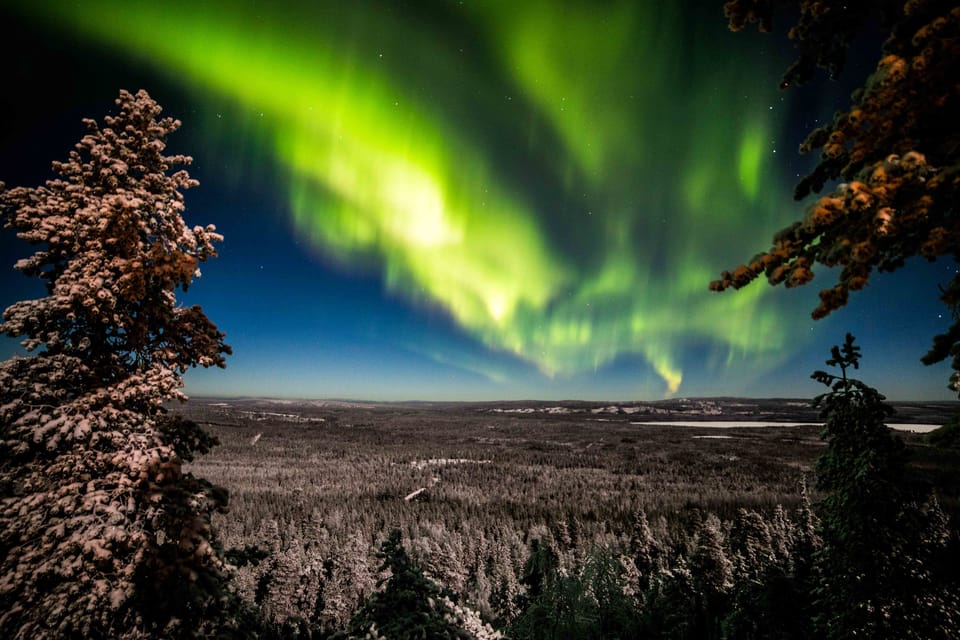 罗瓦涅米：探索北极光摄影之旅| GetYourGuide