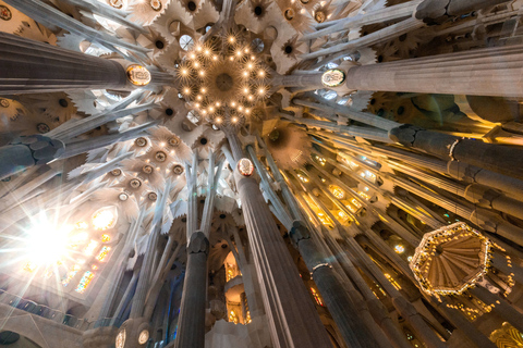 Barcelone : Visite de la Sagrada Familia avec option d'accès à la tourVisite guidée avec accès à la tour