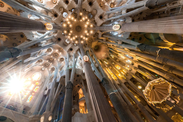 Barcelona: Sagrada Familia Tour met optie voor toegang tot de torenRondleiding zonder toegang tot de toren