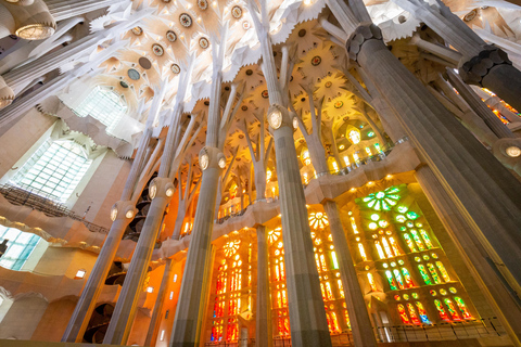 Barcelona: Sagrada Familia Tour met optie voor toegang tot de torenRondleiding zonder toegang tot de toren