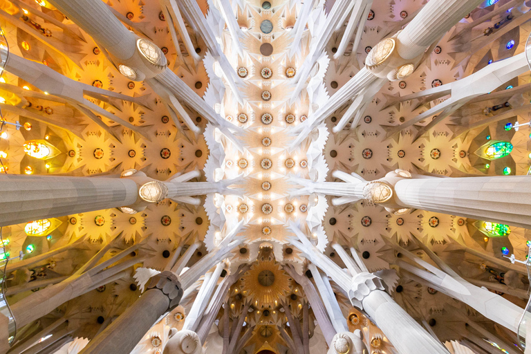 Barcelona: Sagrada Familia and Park Guell Combo Guided Tour Sagrada Família followed by Park Güell
