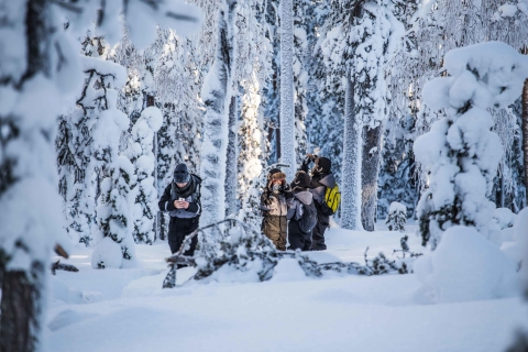 Rovaniemi: expédition de photographie dans la nature sauvage de la forêt nordique