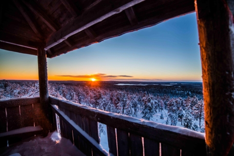 Rovaniemi: Nordische Waldwildnisfotografieexpedition
