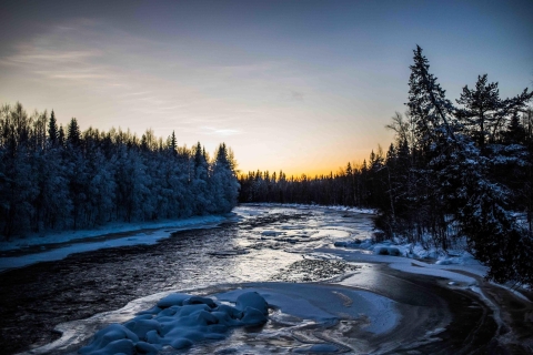 Rovaniemi: expédition de photographie dans la nature sauvage de la forêt nordique