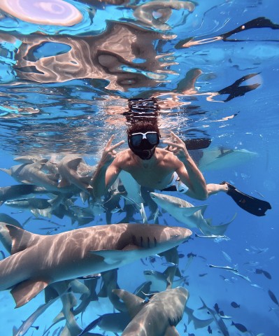 Visit Maafushi Nurse Sharks, Stingrays, Sand Bank and Dolphins in Maafushi, Maldives