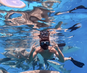Maafushi: Nurse Sharks, Stingrays, Sand Bank and Dolphins