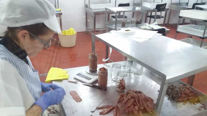 santoña anchovy factory tour and boat trip