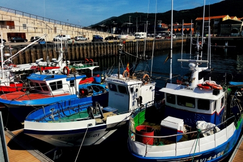 Santoña: visite de l'usine d'anchois et promenade en bateauSantoña: visite de l'usine d'anchois et excursion en bateau - visite privée