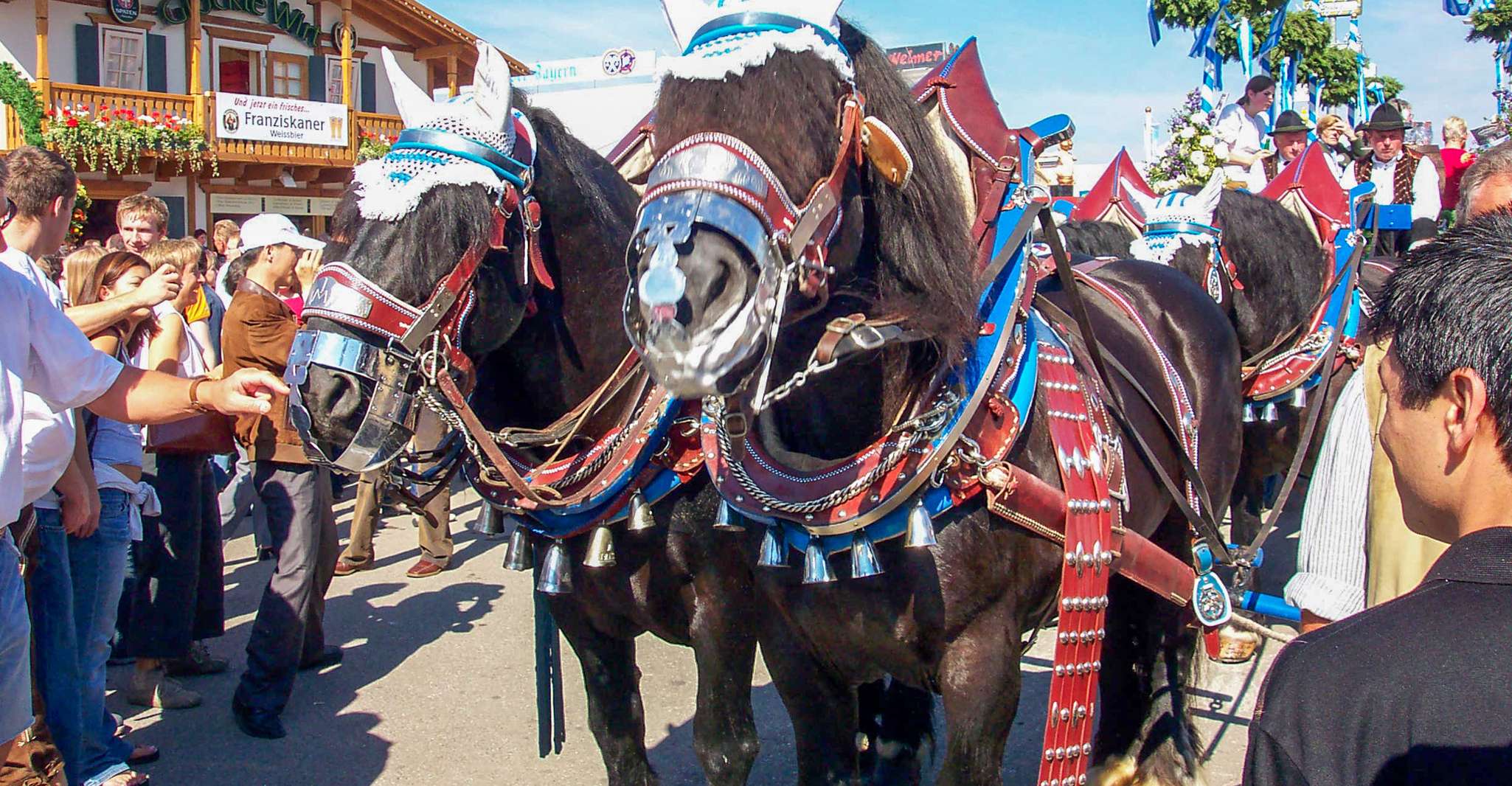 Munich: Old Town Walking Tour photo 9