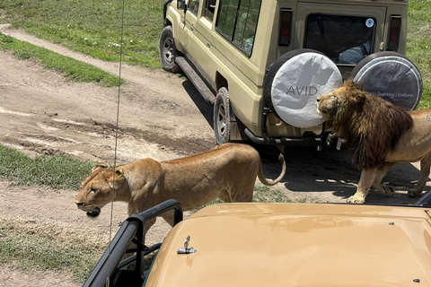 Kilimanjaro: 2-Day Private Trip, Hike, & Ngorongoro Crater