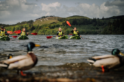 From Belfast : Sit-On-Top Kayak Rental