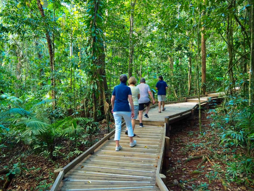 Forêt tropicale boule bois