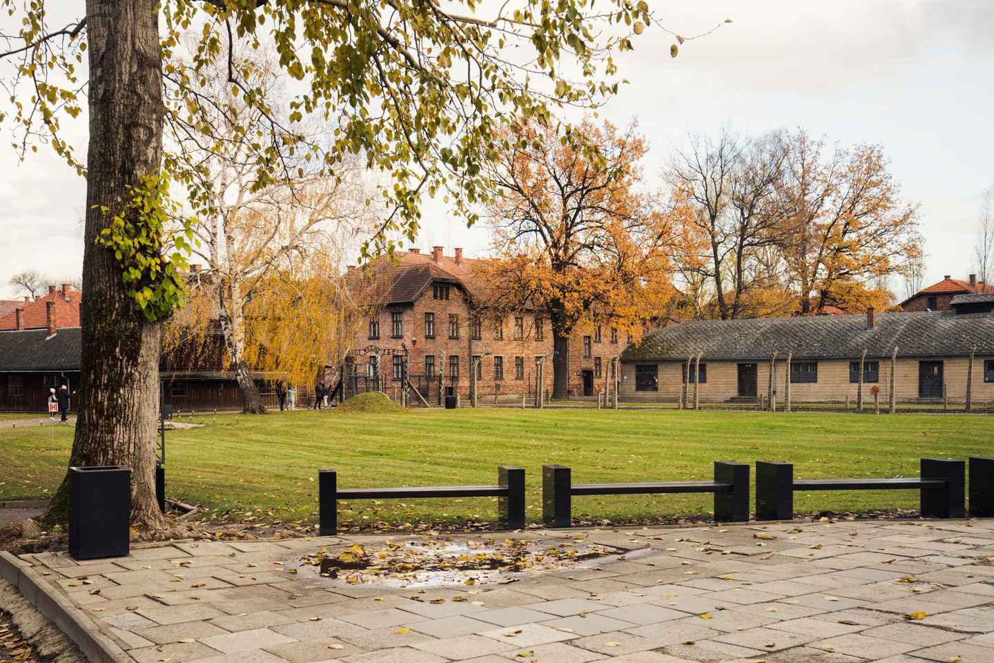 From Krakow: Auschwitz-Birkenau Tour with Transfer