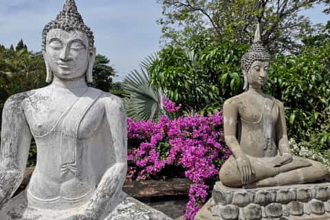 Ayutthaya Temples & Eco-Farm Private Tour from Bangkok